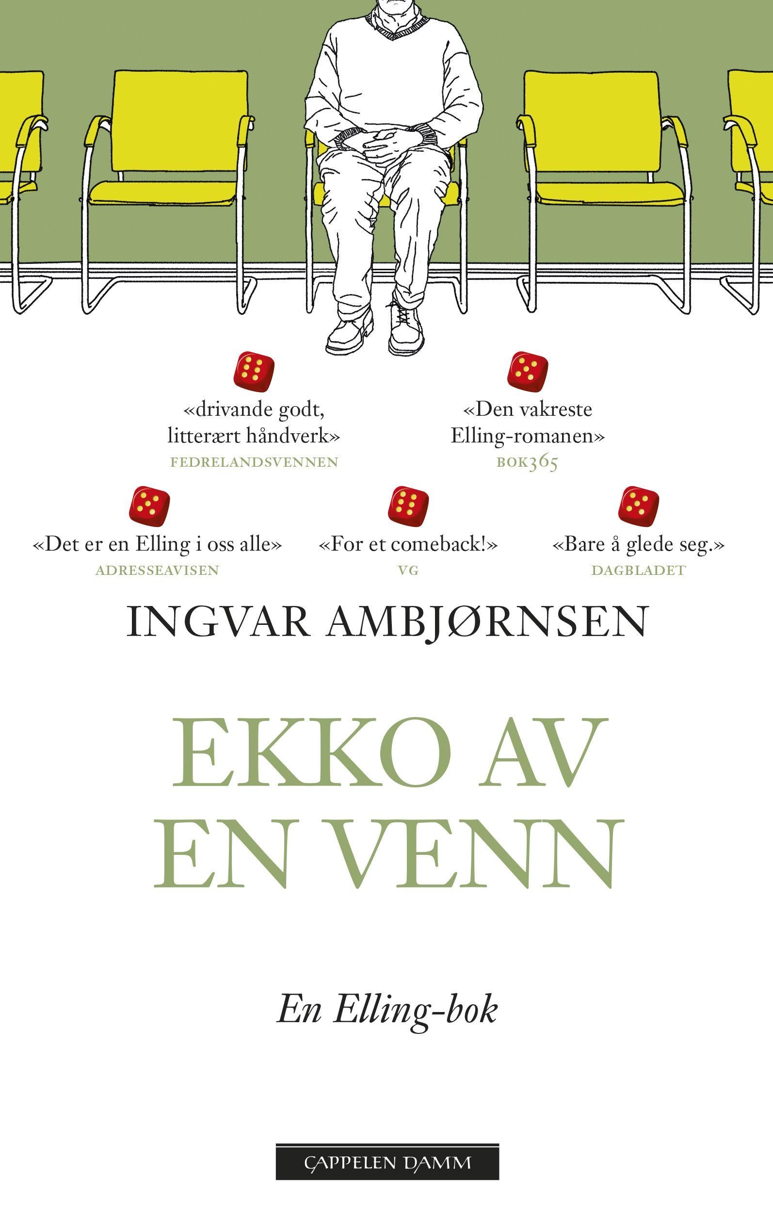Ekko av en venn : roman