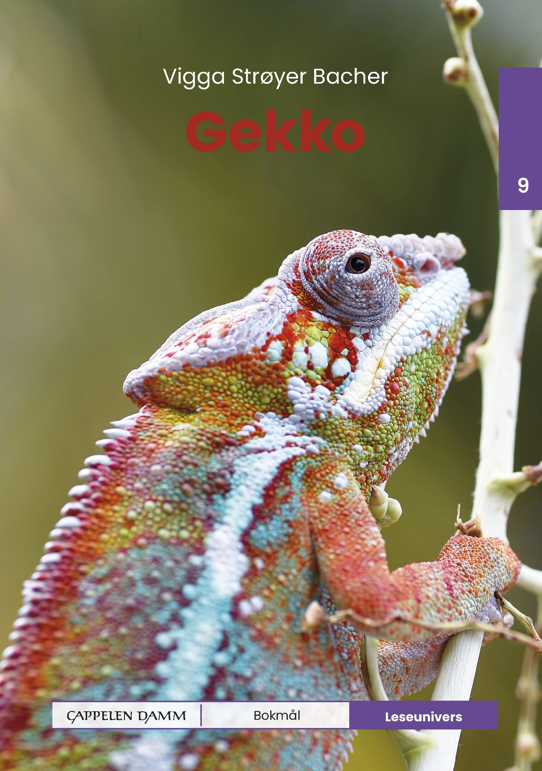 Gekko : nivå 9