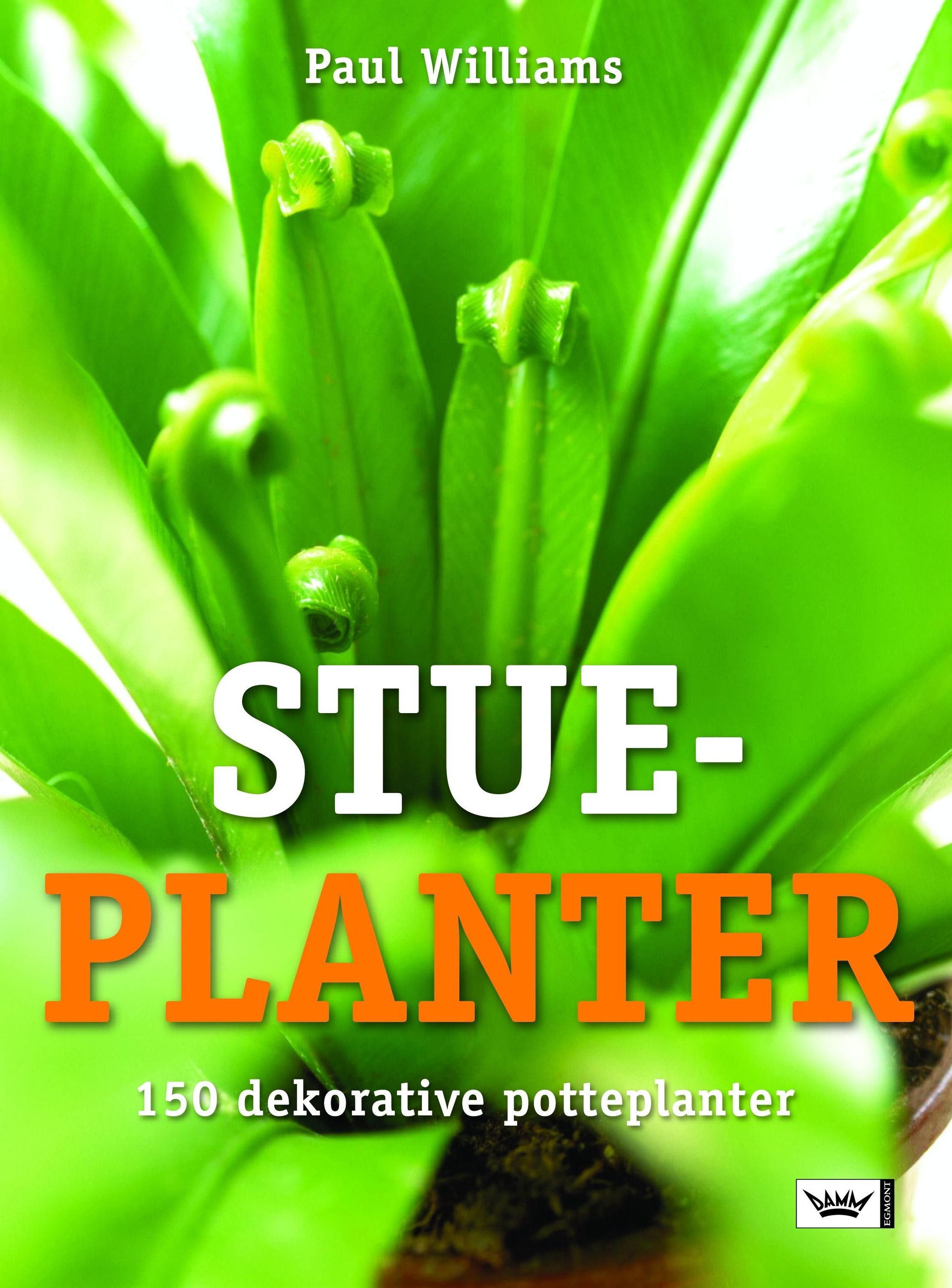 Dekorative stueplanter : duftende, blomstrende, grønne og frodige