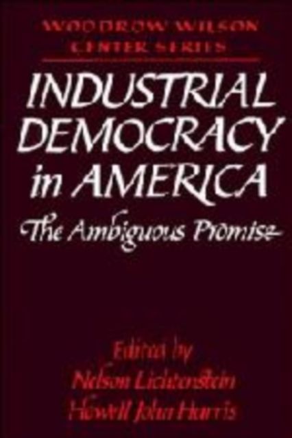 Industrial Democracy in America : The Ambiguous Promise