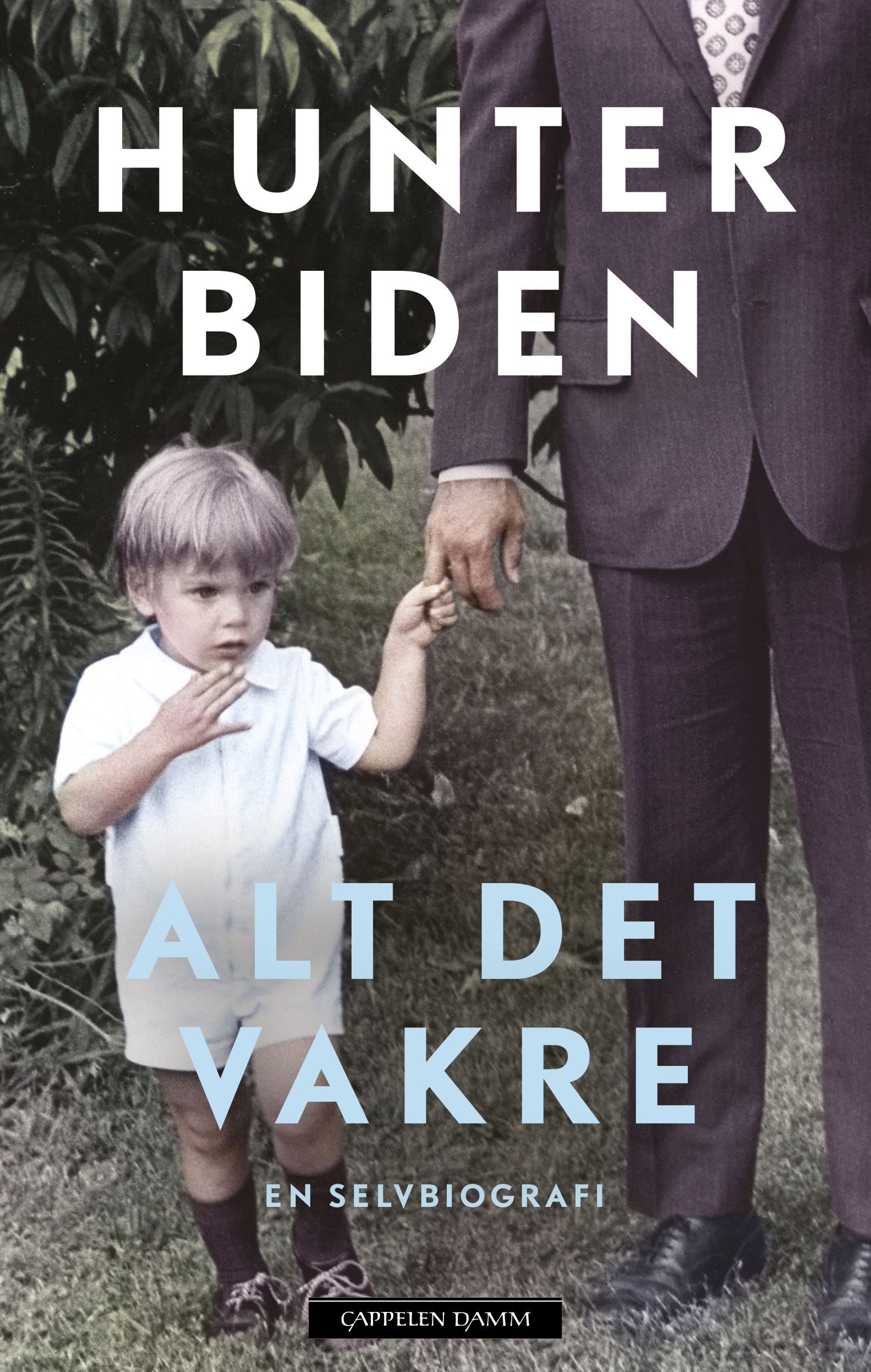 Alt det vakre : en selvbiografi