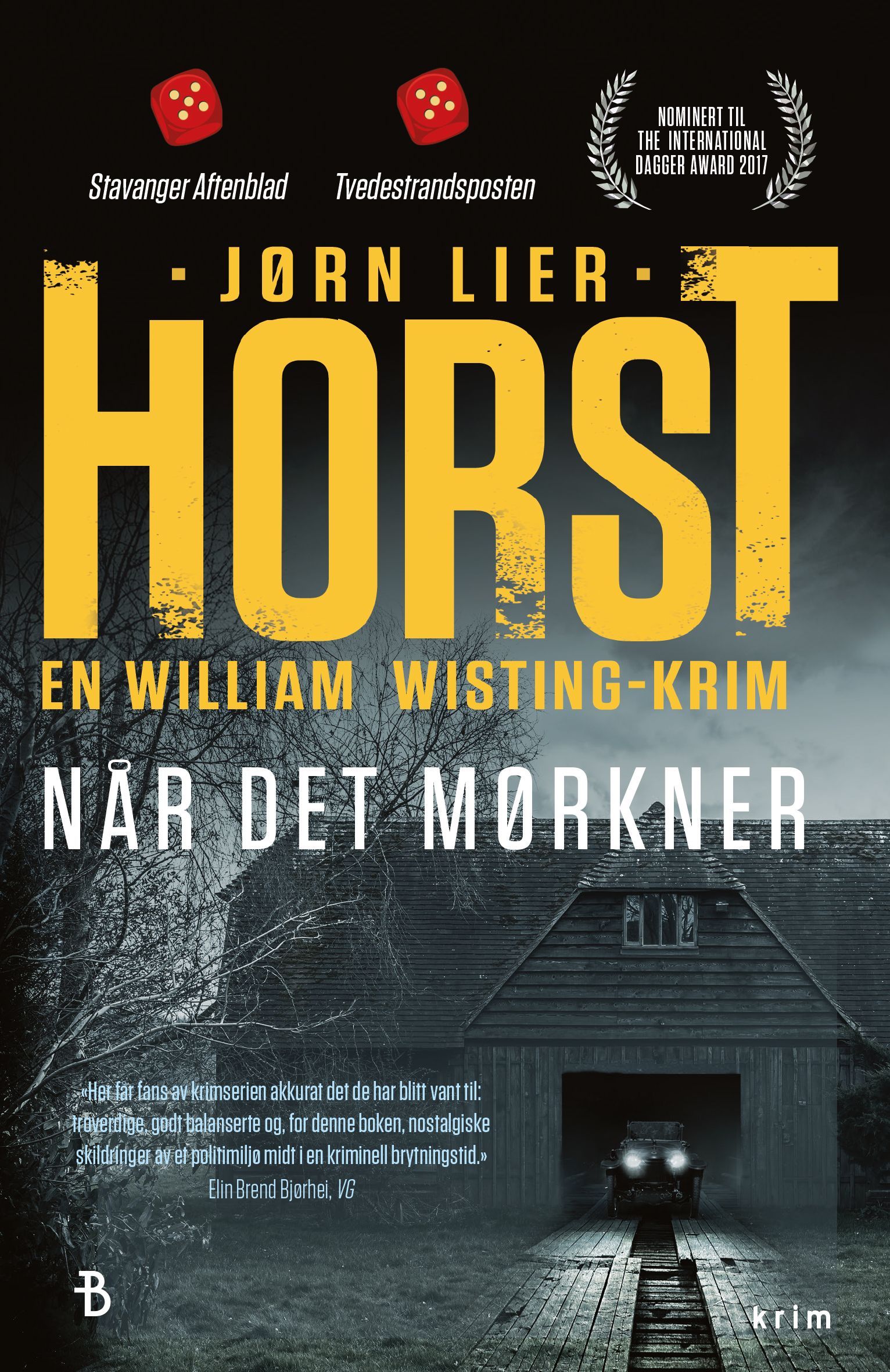 Når det mørkner : kriminalroman
