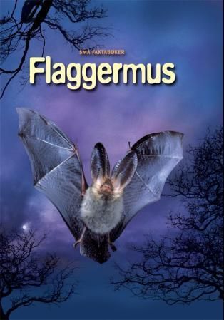 Forsidebilde av Flaggermus