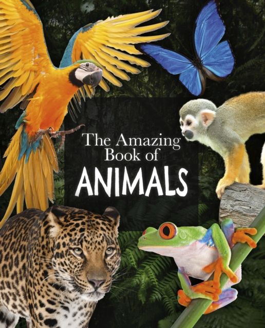 The Amazing Book of Animals