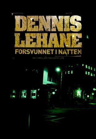Forsvunnet i natten : en thriller