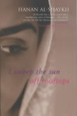 I sweep the sun off rooftops : stories