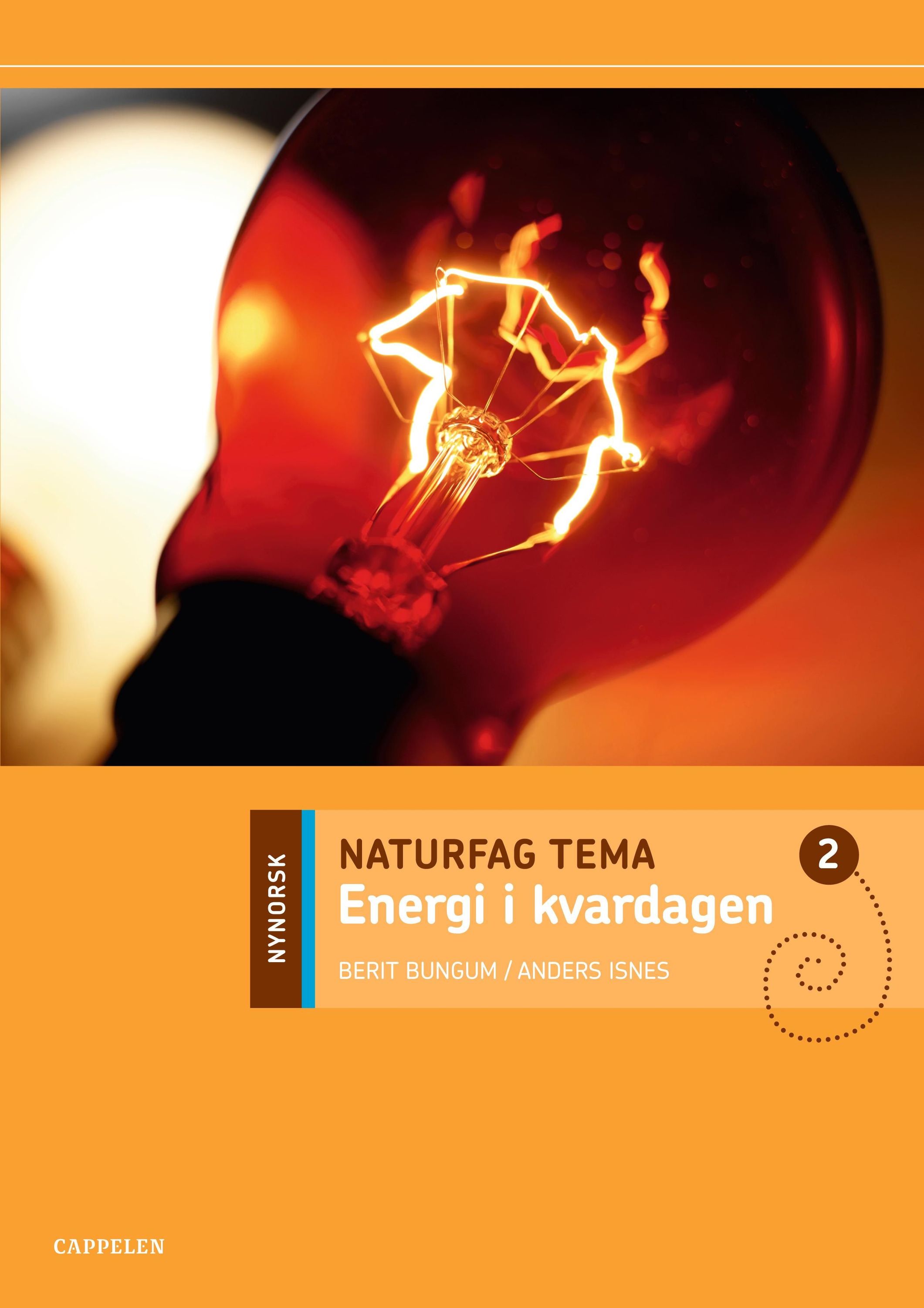 Naturfag tema 2 : energi i kvardagen