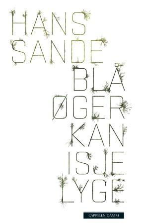 Blå øger kan isje lyge : roman