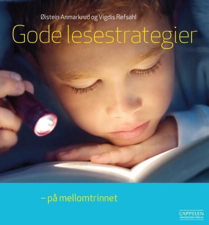 Gode lesestrategier : på mellomtrinnet