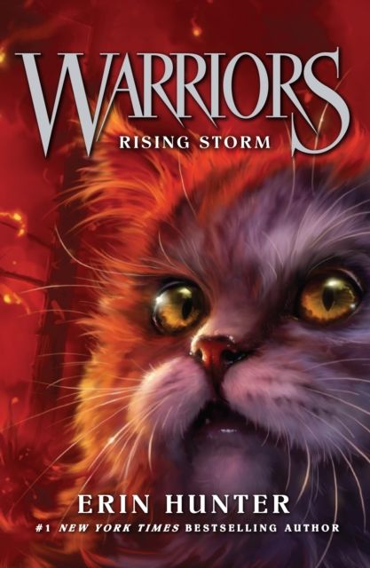 Rising storm