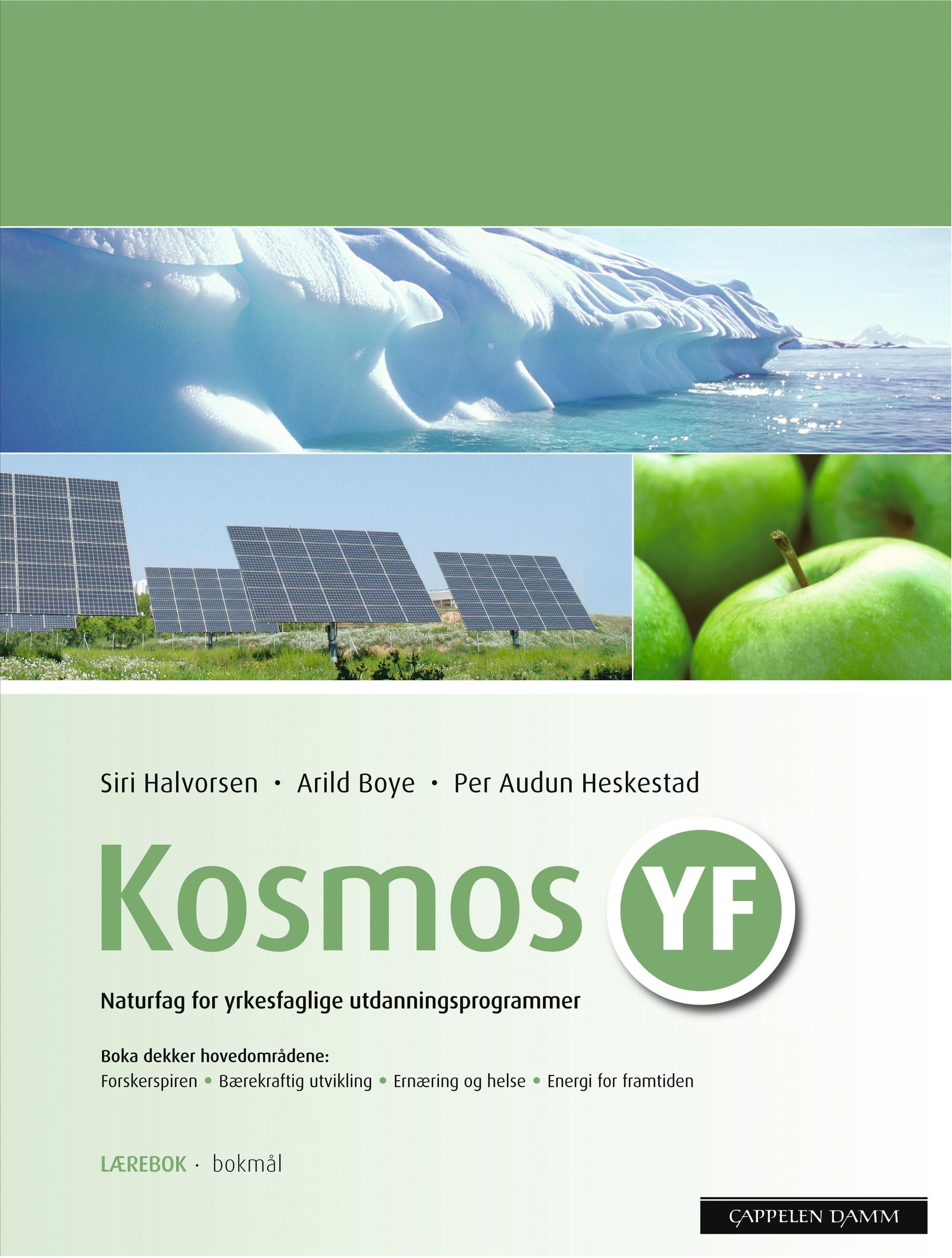 Kosmos YF : naturfag for yrkesfaglege utdanningsprogram : lærebok