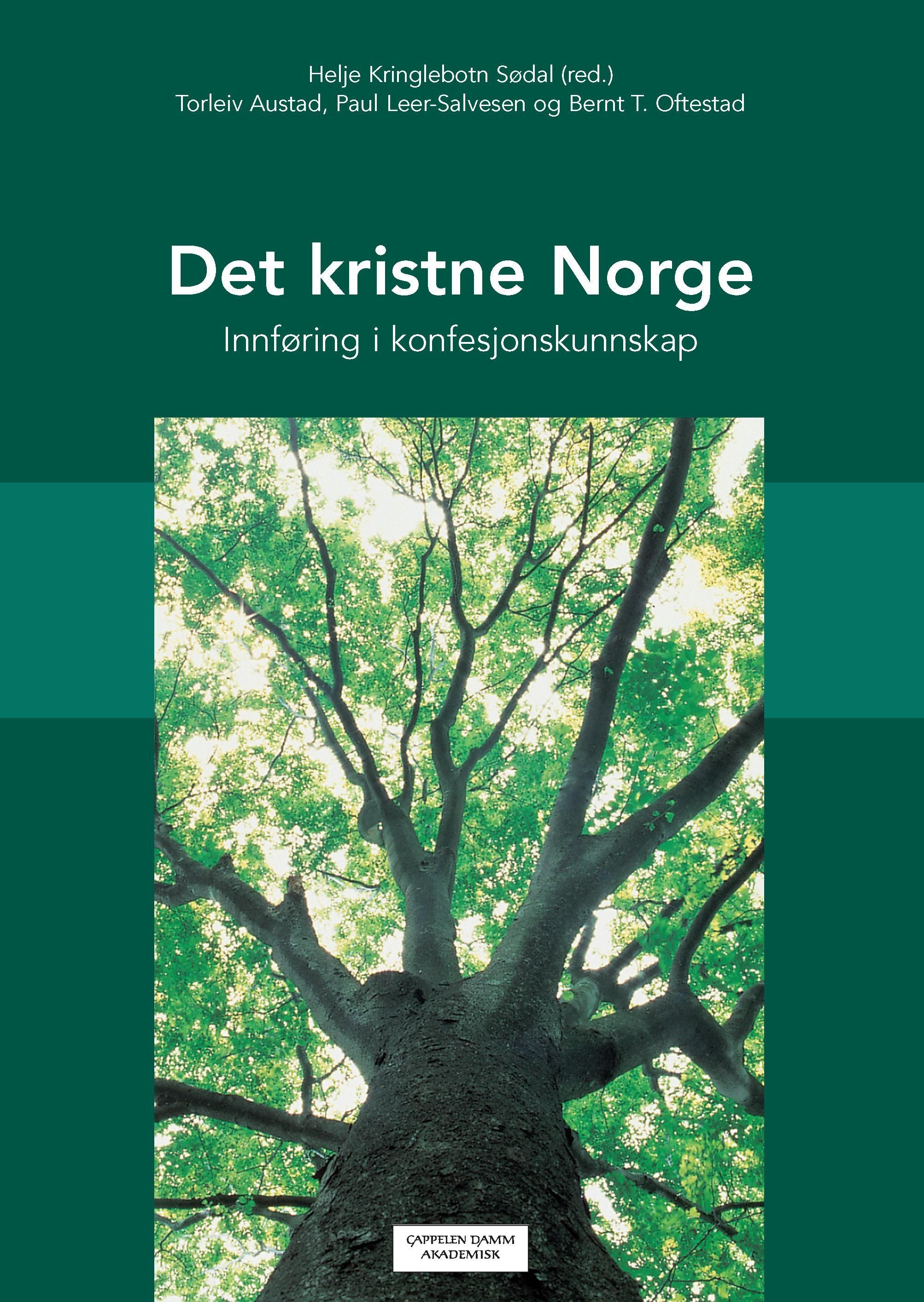 Det kristne Norge : innføring i konfesjonskunnskap