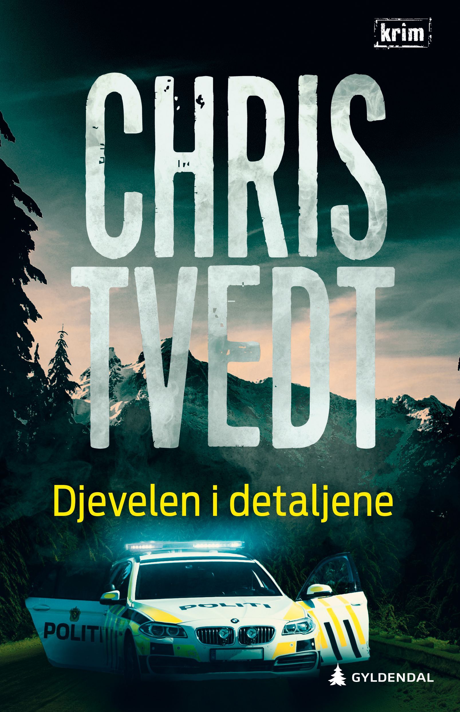 Djevelen i detaljene : kriminalroman