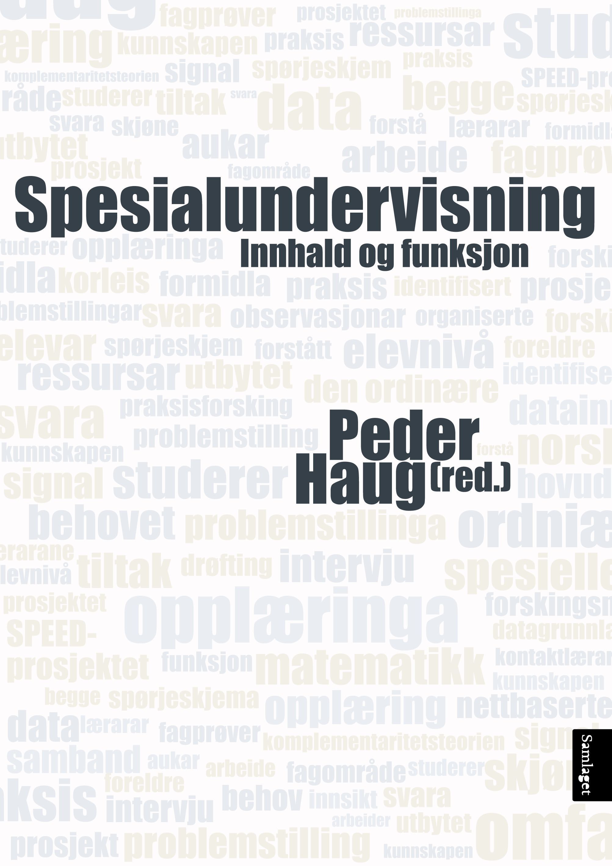 Spesialundervisning : innhald og funksjon
