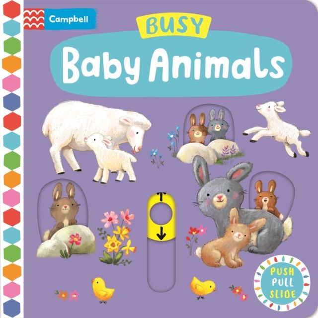 Busy Baby Animals : A Push, Pull, Slide Book