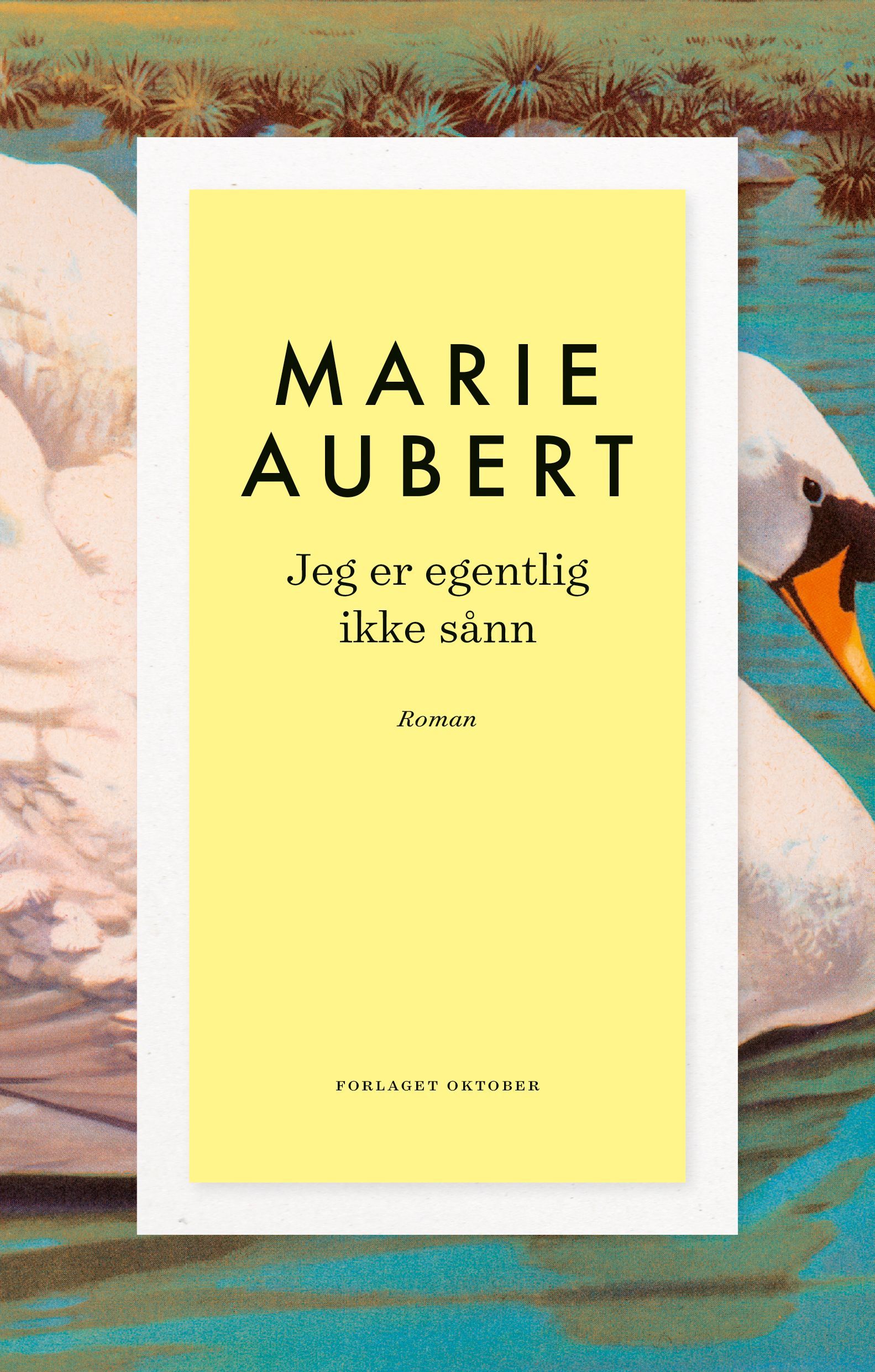 Jeg er egentlig ikke sånn : roman