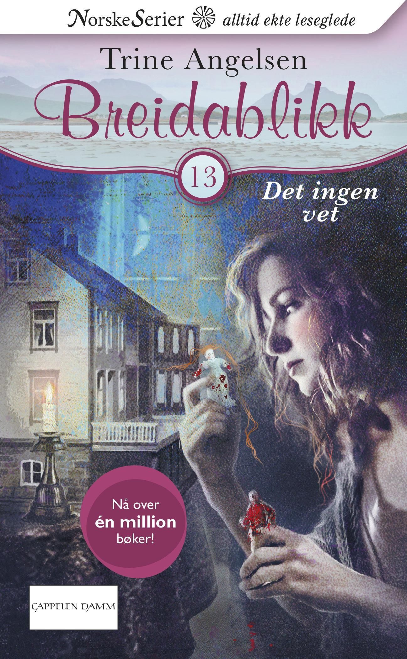 Forsidebilde av Det ingen vet