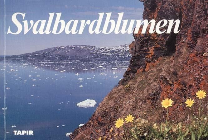 Svalbardblumen