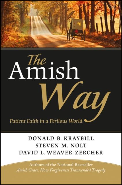 The Amish Way : Patient Faith in a Perilous World