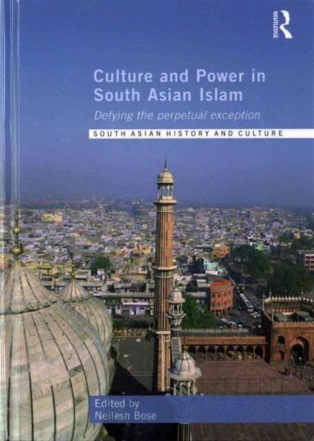 Culture and Power in South Asian Islam : Defying the Perpetual Exception