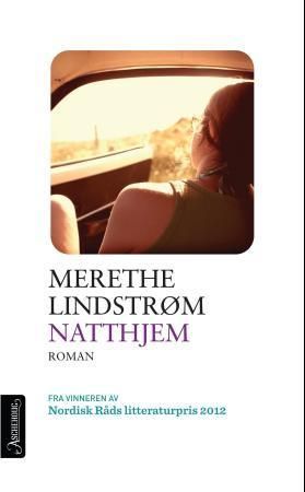 Natthjem : roman
