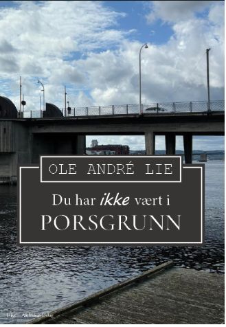 Du har ikke vært i Porsgrunn : dikt