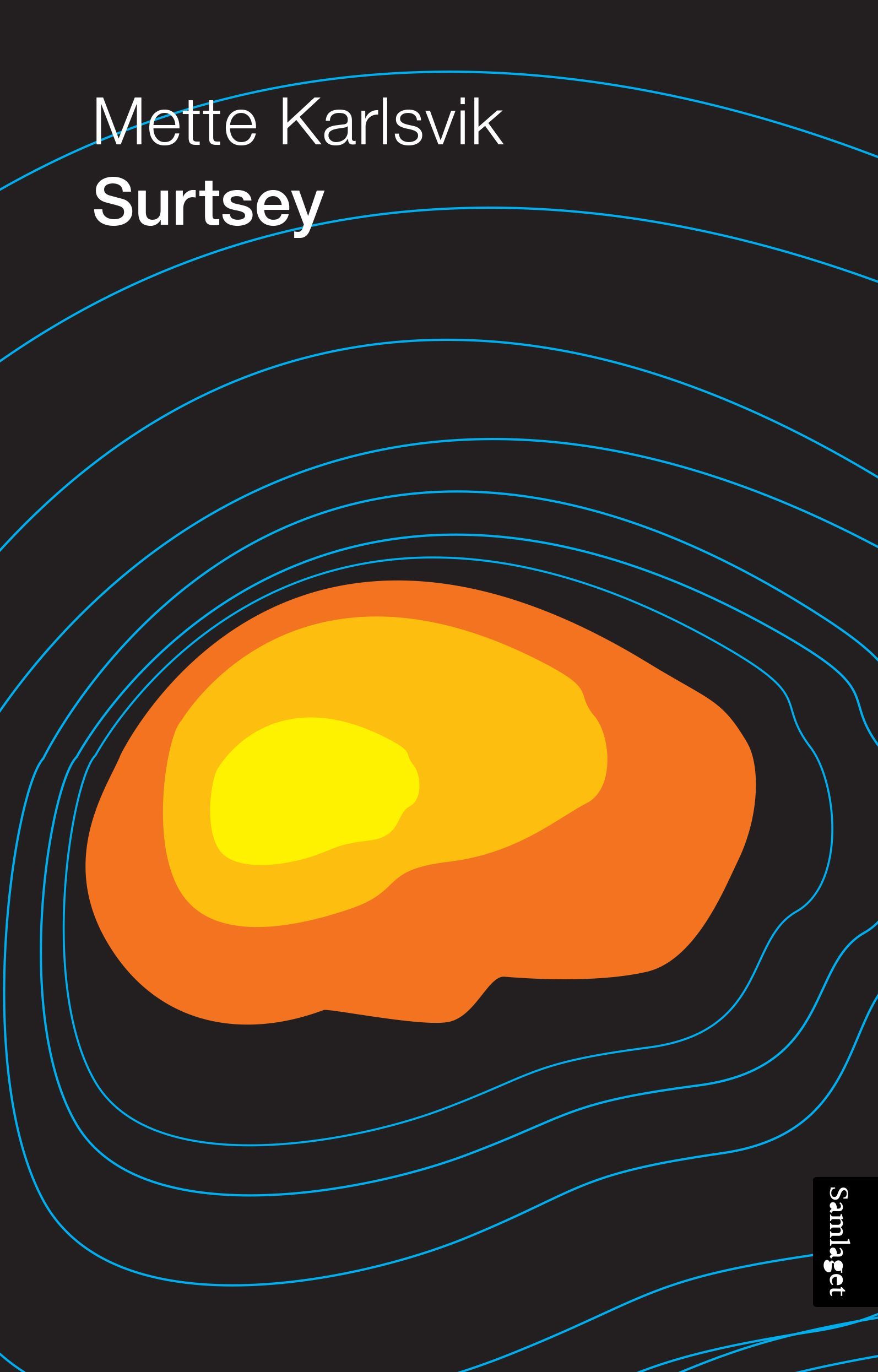 Surtsey : roman