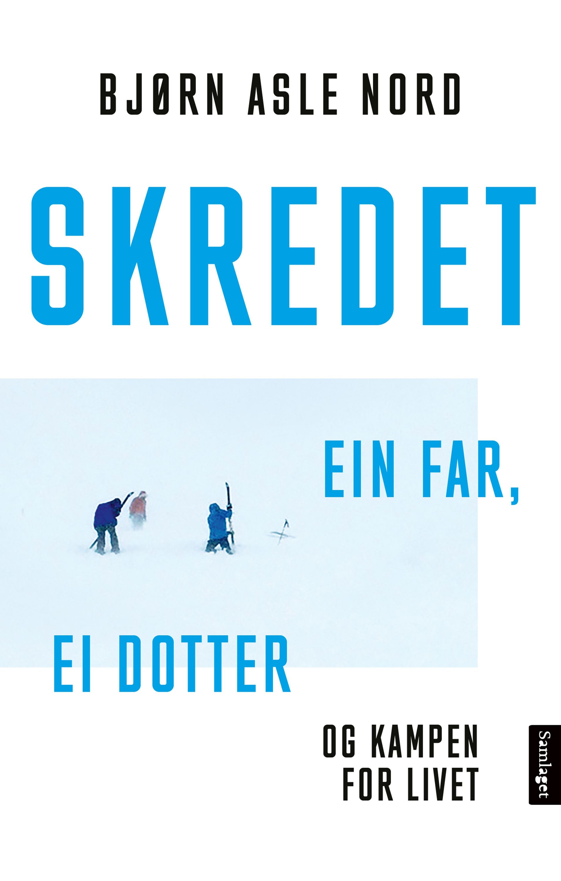 Skredet : ein far, ei dotter og kampen for livet