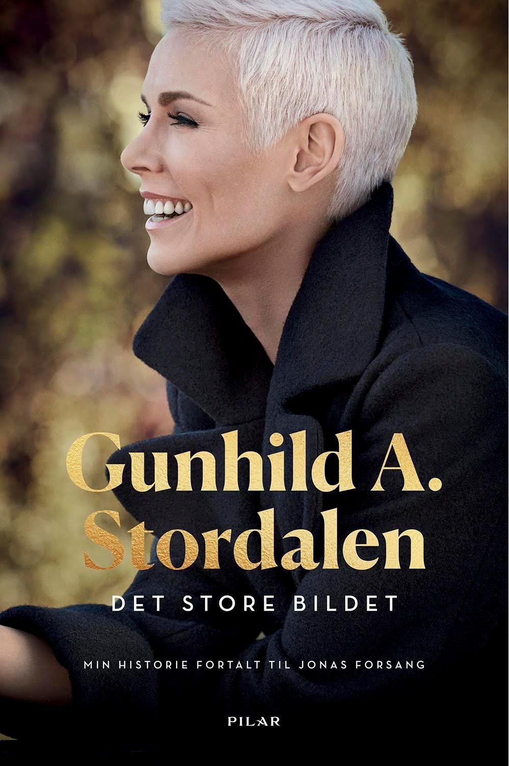 Det store bildet : min historie