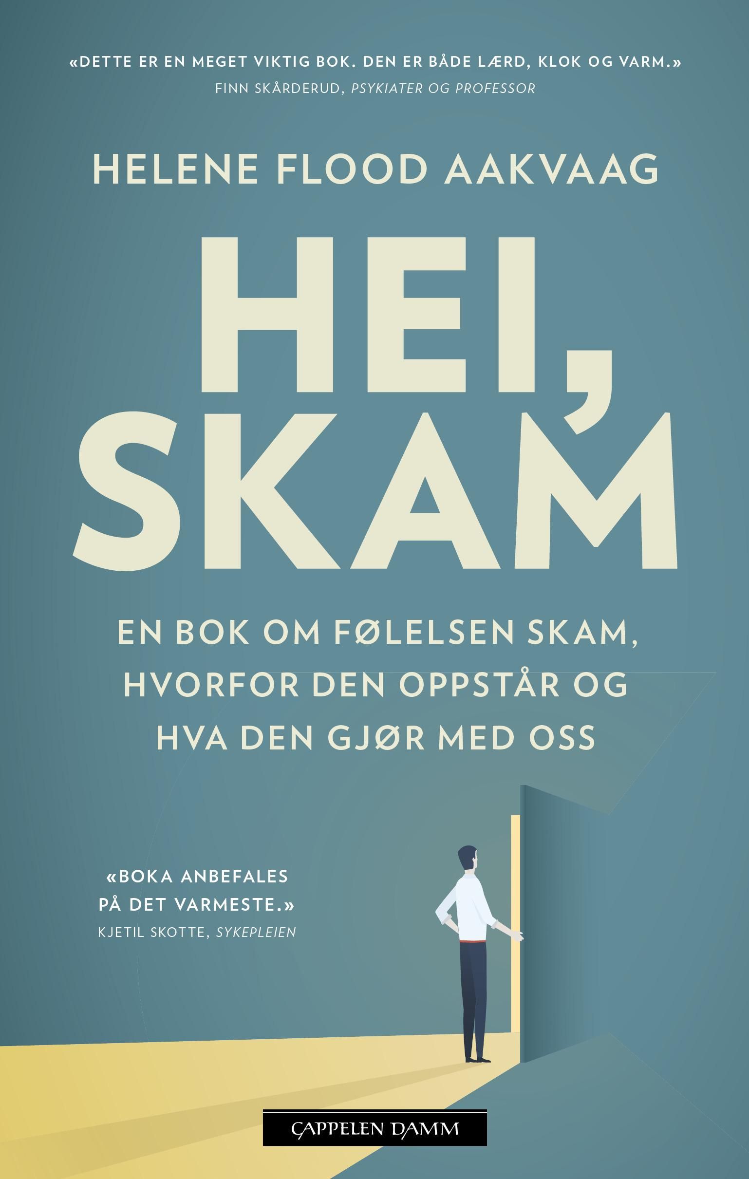 Hei, skam : en bok om følelsen skam, hvorfor den oppstår og hva den gjør med oss