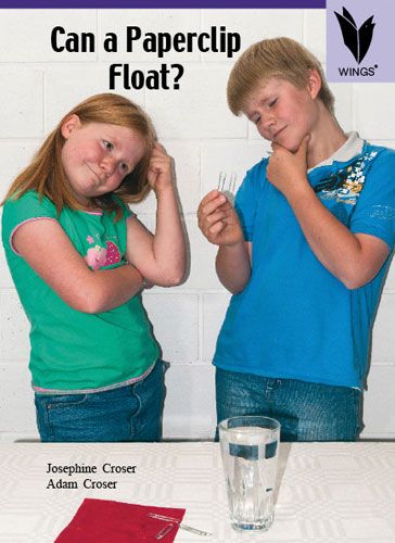 Can a paperclip float?