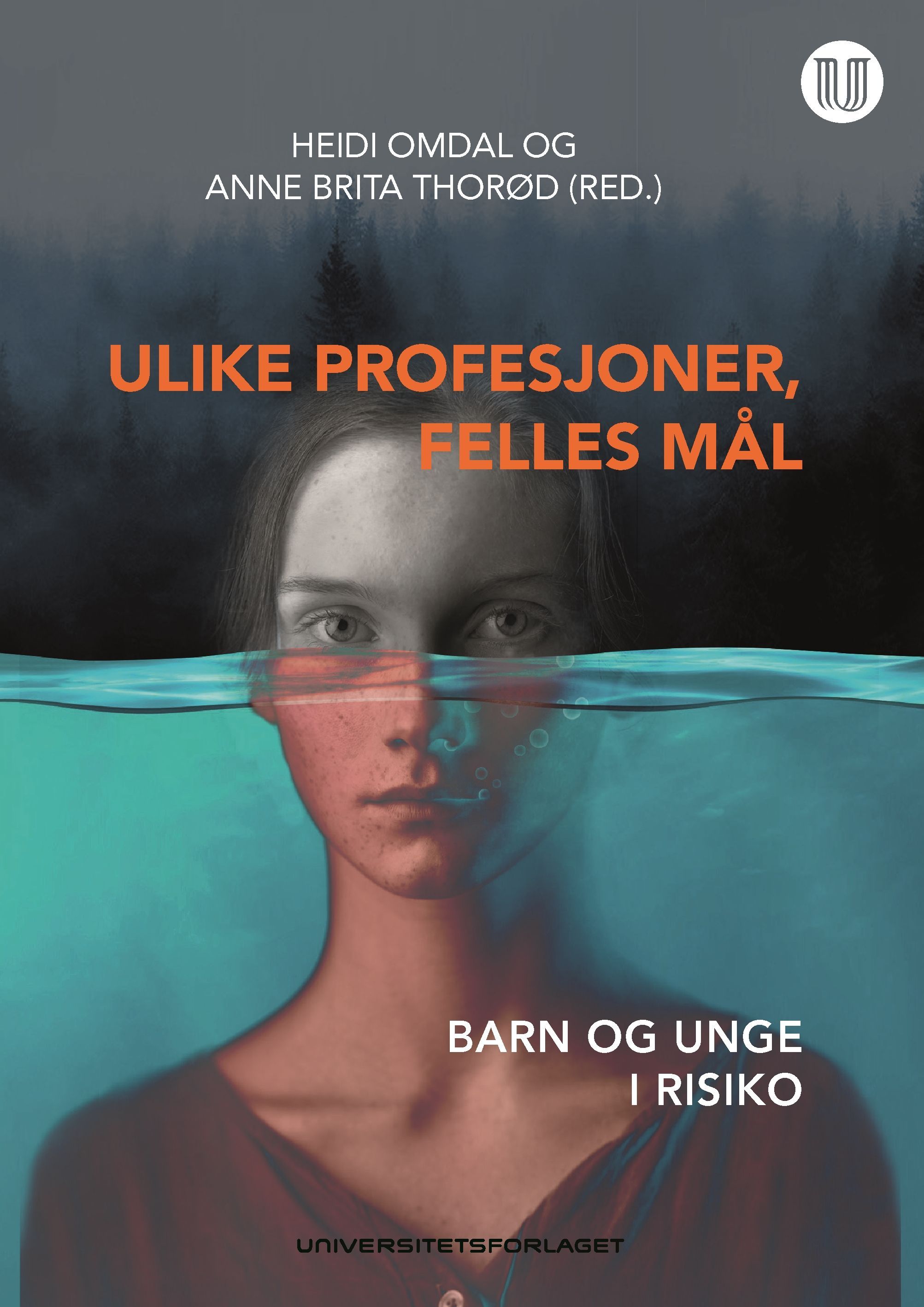 Ulike profesjoner, felles mål : barn og unge i risiko