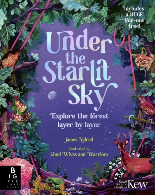 Under the Starlit Sky : Explore the Forest Layer By Layer