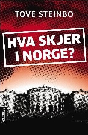 Hva skjer i Norge? : klar tale fra vettskremt bestemor