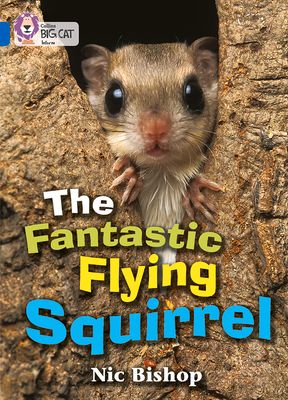 The Fantastic Flying Squirrel : Band 04/Blue