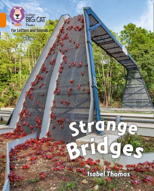 Strange Bridges : Band 06/Orange