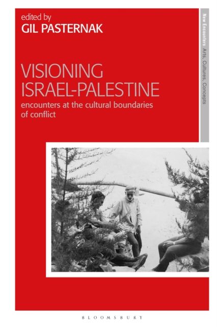 Visioning Israel-Palestine : Encounters at the Cultural Boundaries of Conflict