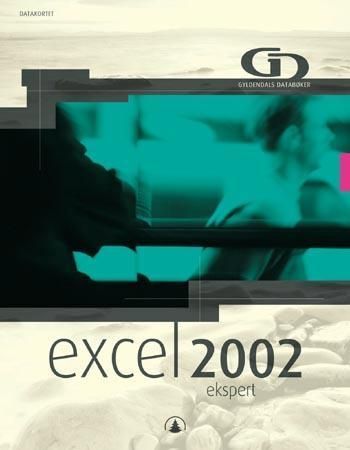 Excel 2002 : ekspert