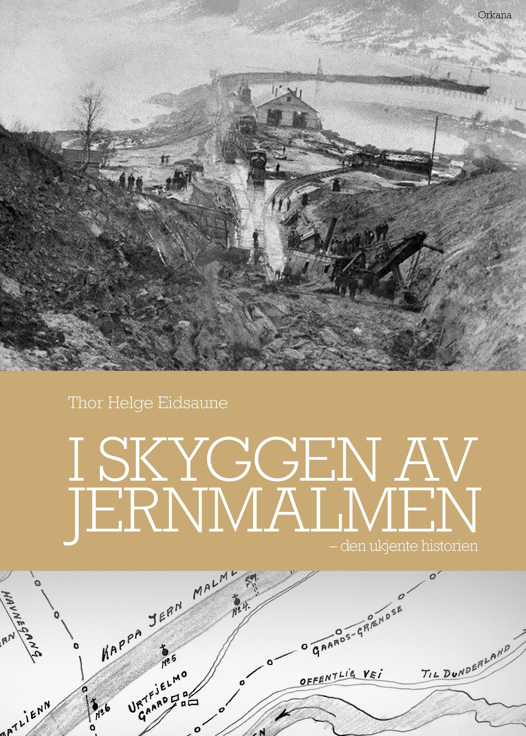 I skyggen av jernmalmen : den ukjente historien