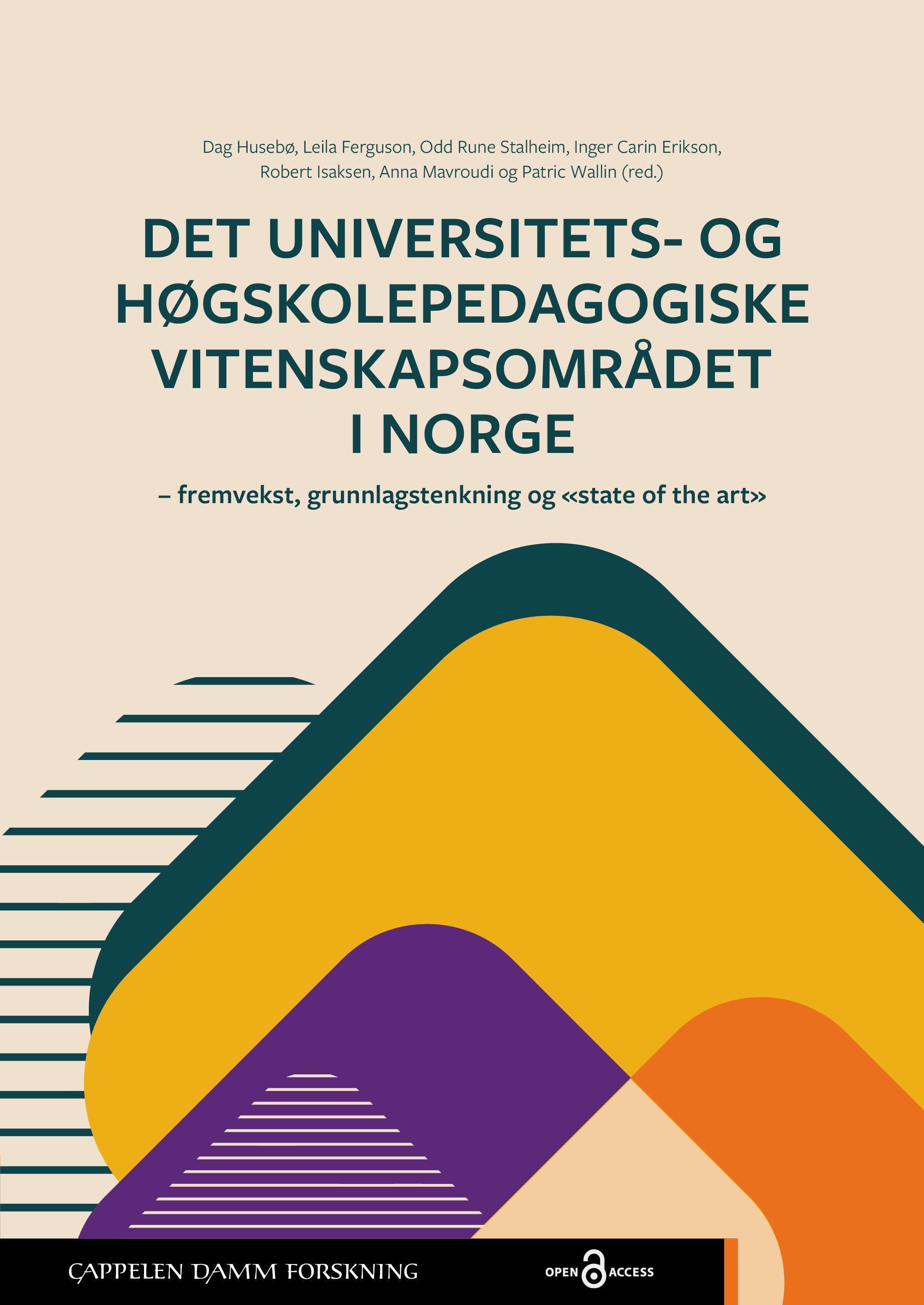 Det universitets- og høgskolepedagogiske vitenskapsområdet i Norge : fremvekst, grunnlagstenkning og «state of the art»