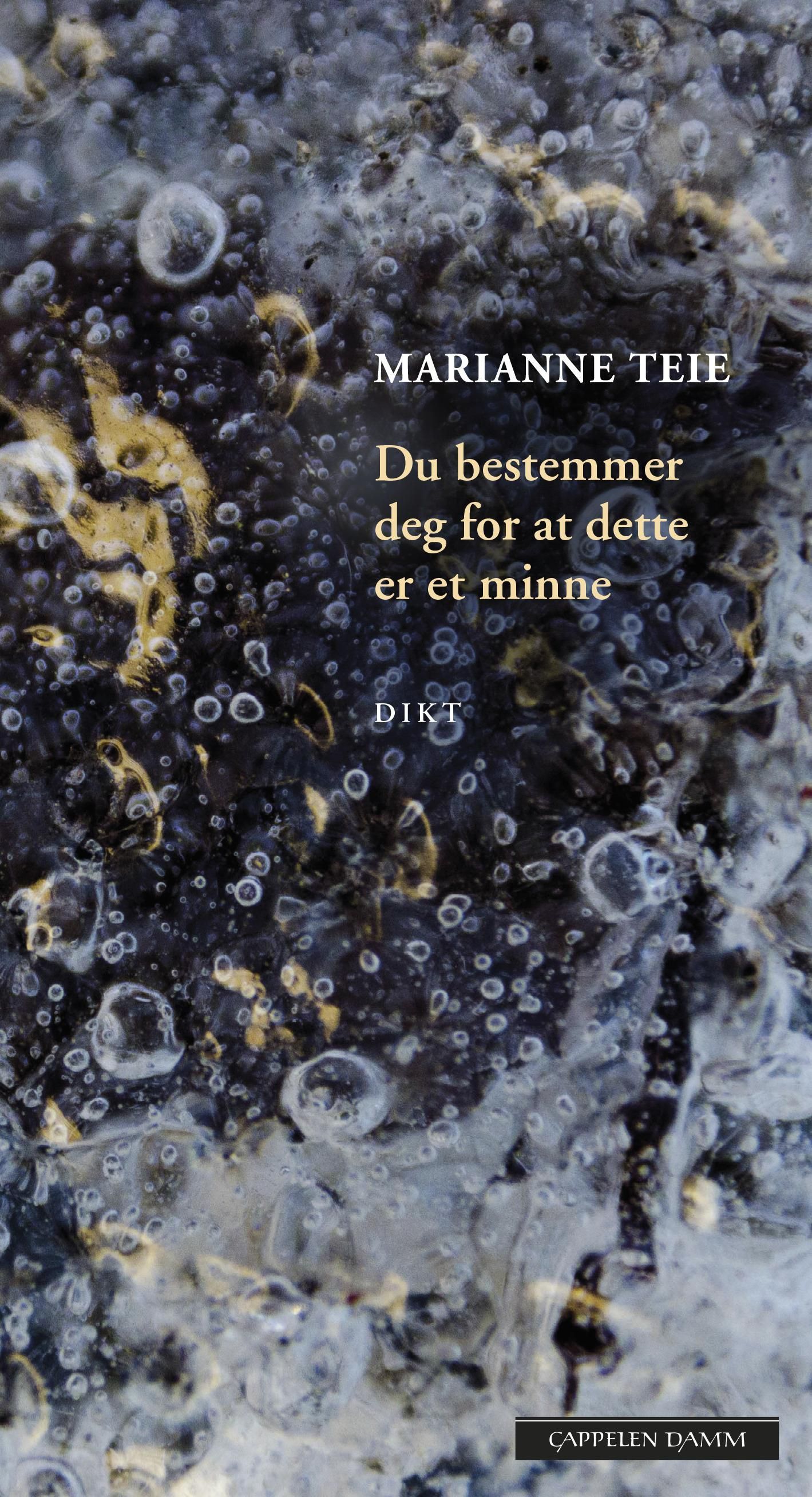 Forsidebilde av Du bestemmer deg for at dette er et minne