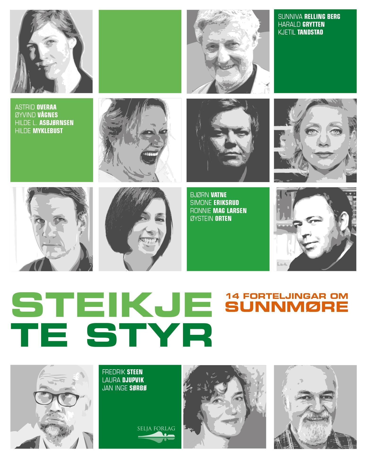 Steikje te styr : 14 forteljingar om Sunnmøre
