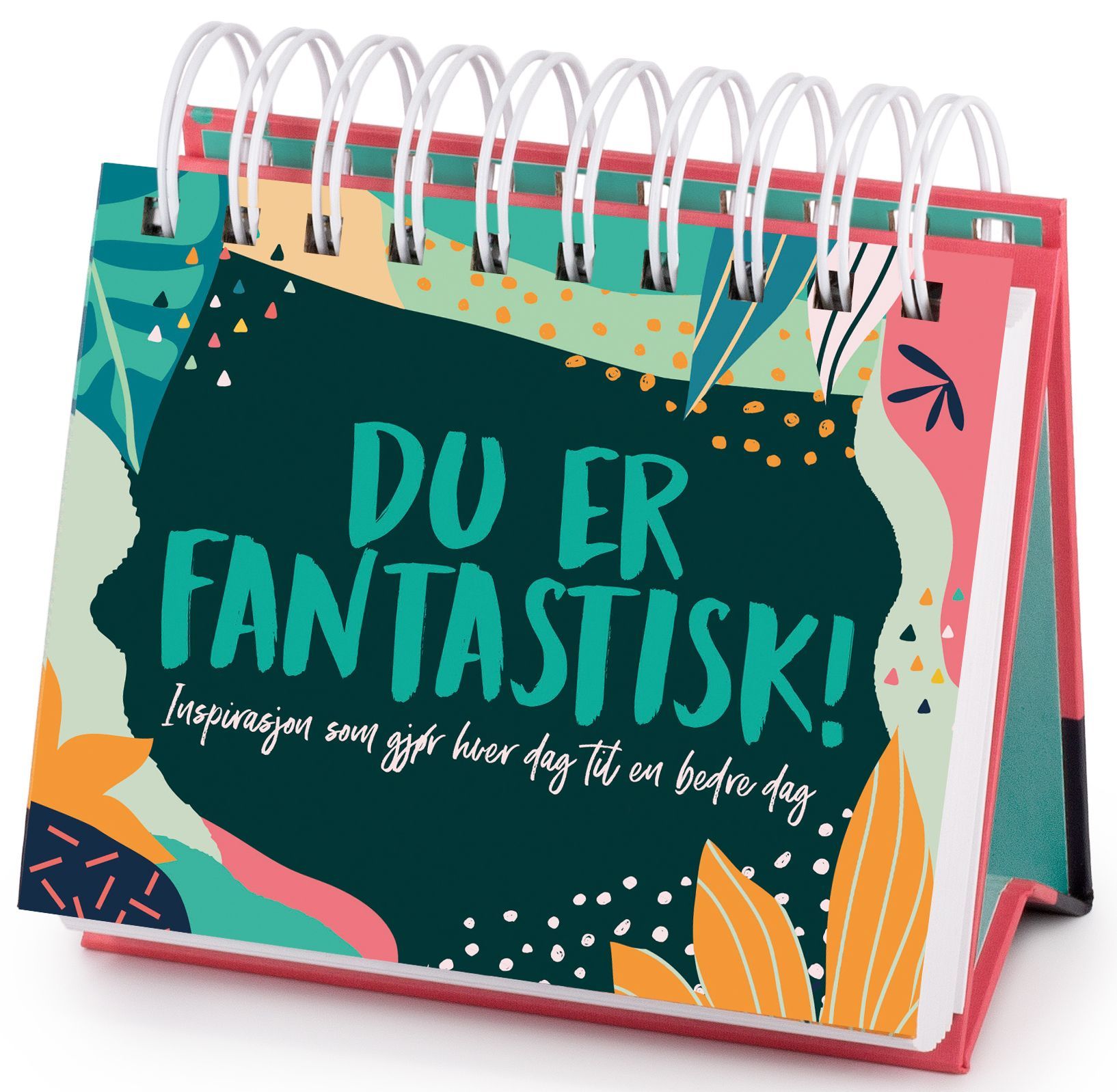 Du er fantastisk! : inspirasjon som gjør hver dag til en bedre dag
