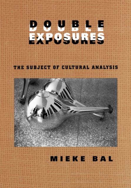 Double Exposures : The Practice of Cultural Analysis