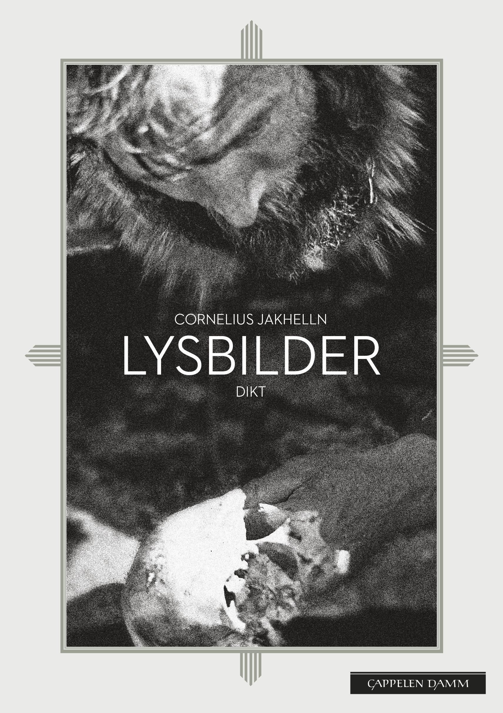 Lysbilder : dikt