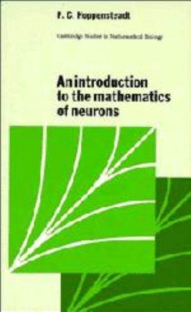 An Introduction to the Mathematics of Neurons