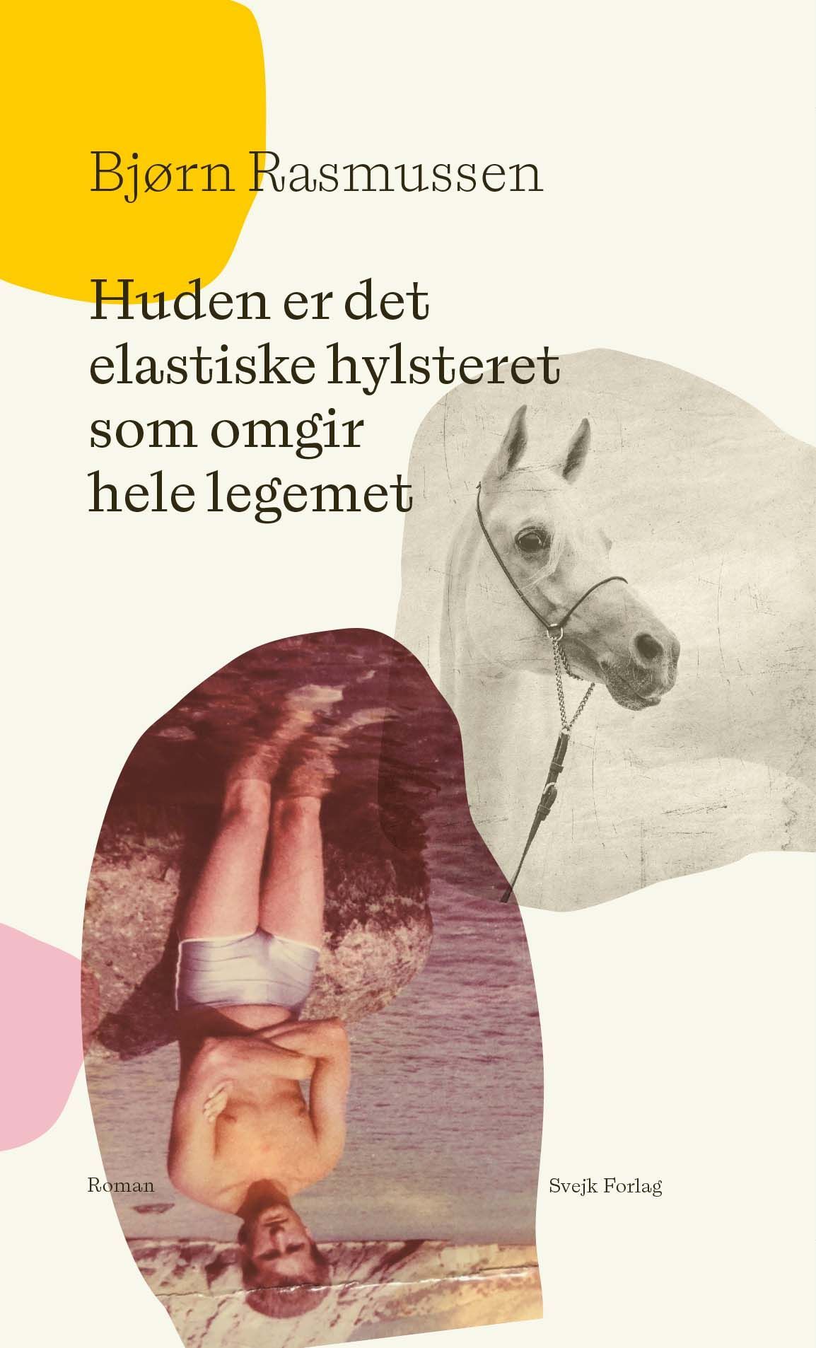 Huden er det elastiske hylsteret som omgir hele legemet : roman