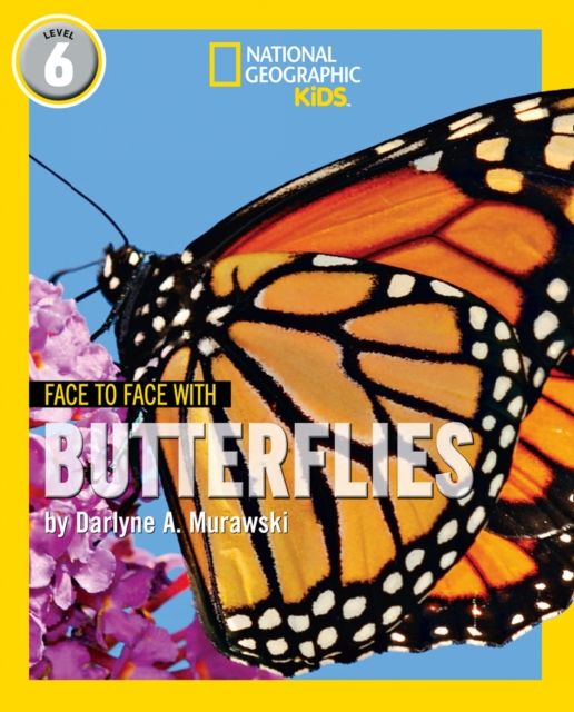 Face to Face with Butterflies : Level 6