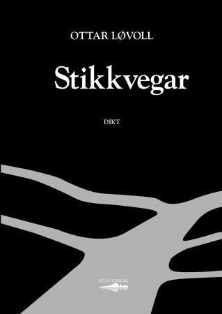 Stikkvegar : dikt