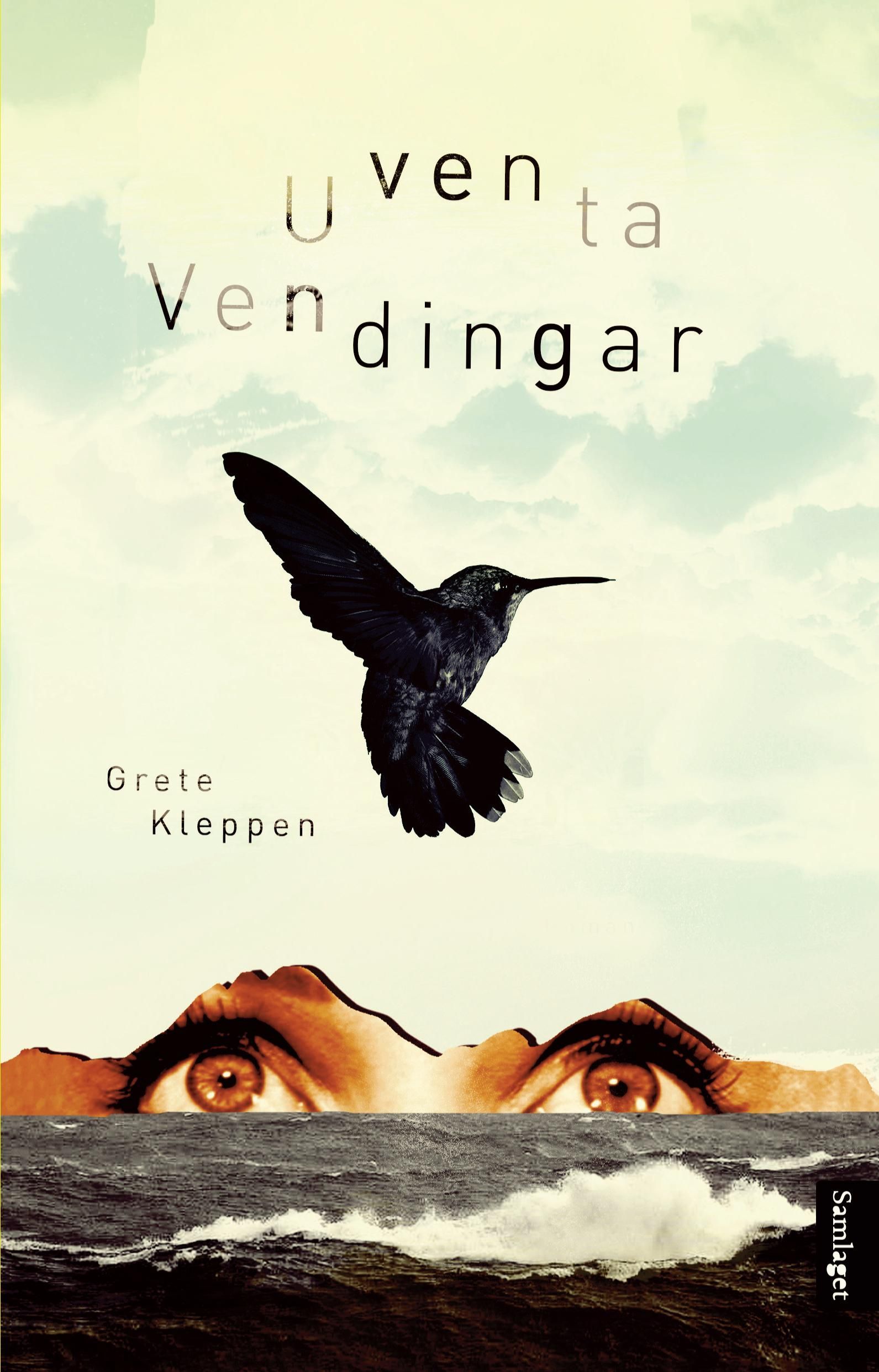 Uventa vendingar : roman